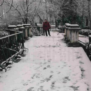 Una persona paseo por el Jardín de la Isla de Aranjuez tras una nevada