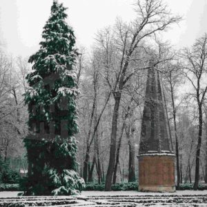 Ventosa del Jardín de la Isla de Aranjuez y alrededores tras una nevada