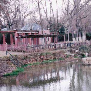 Gango en la playa de La Pavera en Aranjuez