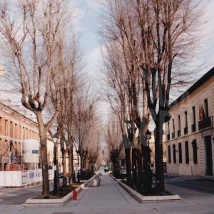 Árboles y farolas del paseo central de la Calle Capitán, frente al Edificio del Centro Cultural Isabel de Farnesio en Aranjuez