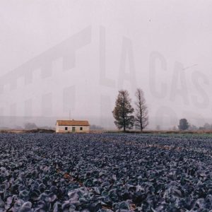 Edificación en un campo cultivado