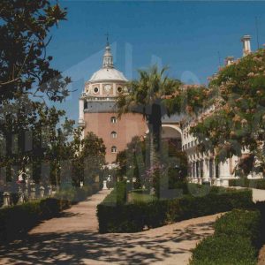 Palmera de Chile en el Jardín del Parterre junto a la torre sur del Palacio Real en Aranjuez