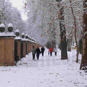 Personas paseando por la Calle de la Reina de Aranjuez junto al Jardín del Príncipe tras una nevadaAR_009_005