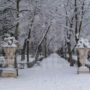 Calle del Embarcadero del Jardín del Príncipe de Aranjuez tras una nevada