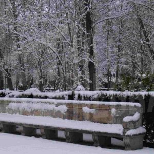 Banco de piedra en el Jardín de la Isla de Aranjuez tras una nevada.