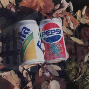 Latas de refresco sobre hojas secas