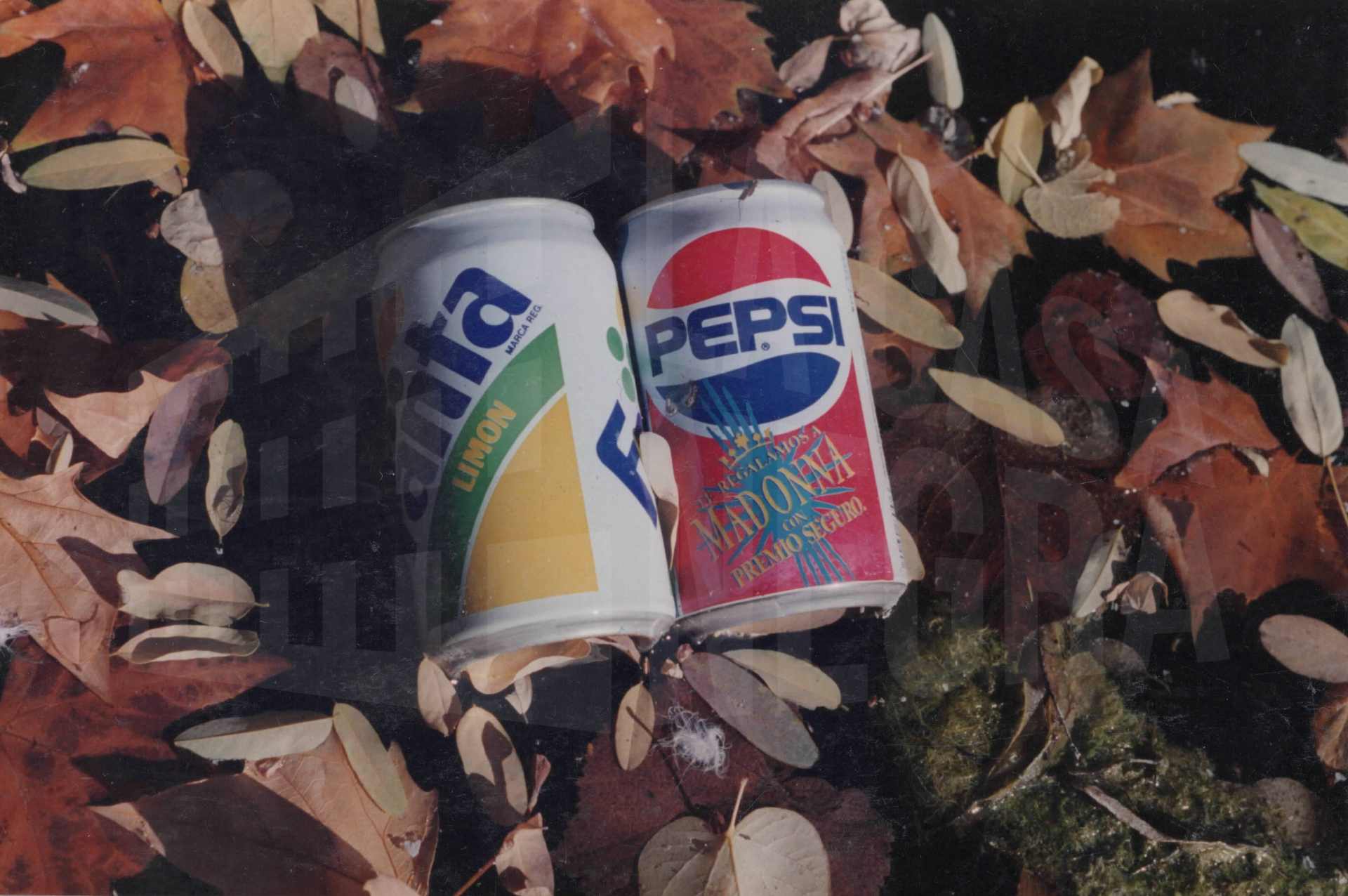 Latas de refresco sobre hojas secas