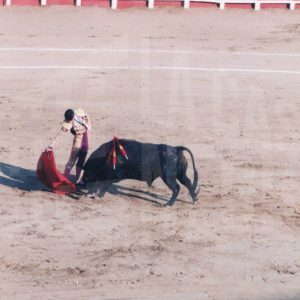 Un torero durante una corrida en la Plaza de Toros de Aranjuez