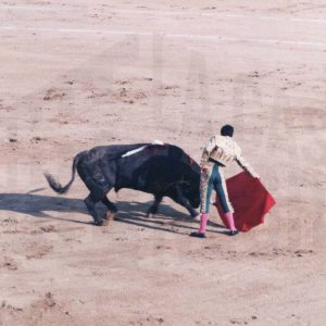 Un torero durante una corrida en la Plaza de Toros de Aranjuez