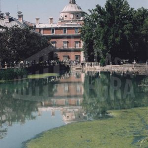 Algas en el Río Tajo junto al Jardín del Parterre de Aranjuez