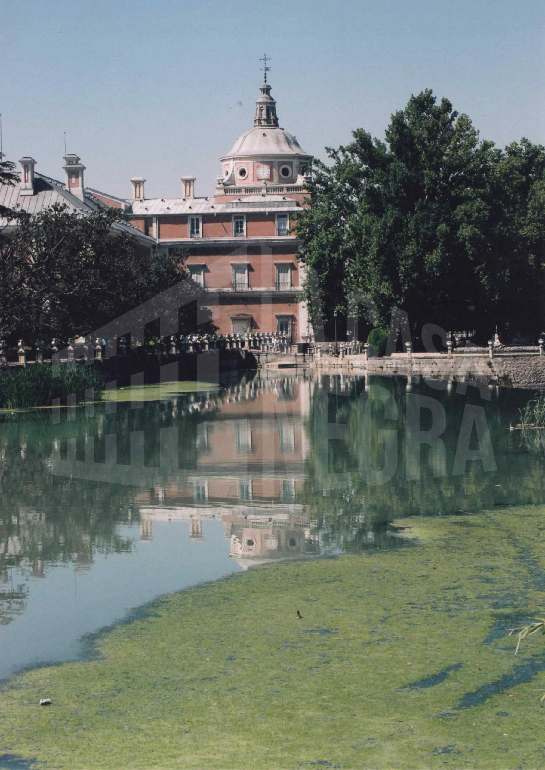 Algas en el Río Tajo junto al Jardín del Parterre de Aranjuez