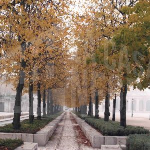 Paseo lateral de la Plaza de San Antonio de Aranjuez