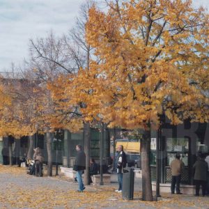 Varias personas  en la Plaza de la Constitución de Aranjuez