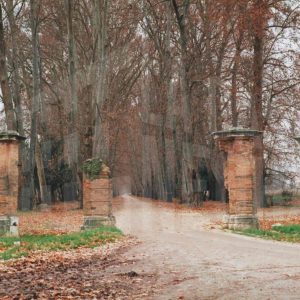 Puerta Cirigata de Aranjuez en ruinas