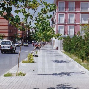 Avenida de la Plaza de Toros en Aranjuez