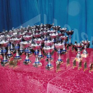 Trofeos preparados para el acto de clausura de la temporada 2003/2004 del Club Natación Aranjuez